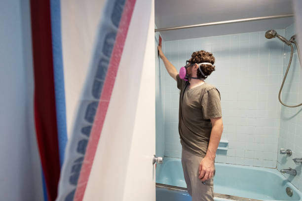 Best HVAC Mold Inspection and Cleaning  in Clarkdale, AZ