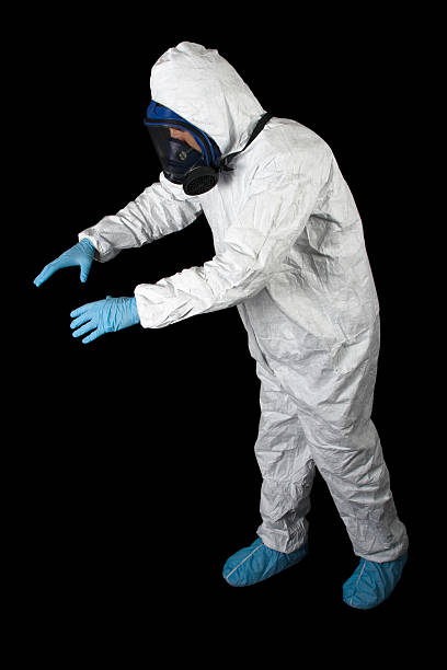 Best Basement Mold Removal  in Clarkdale, AZ