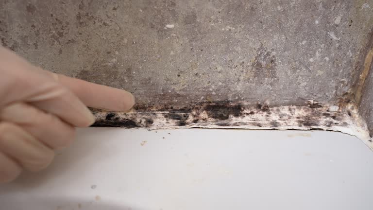 Best Post-Remediation Verification Testing  in Clarkdale, AZ
